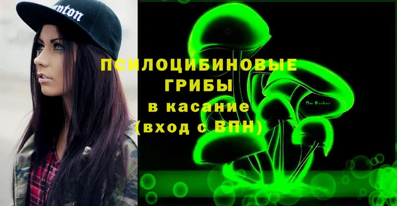 Галлюциногенные грибы Cubensis  Барабинск 